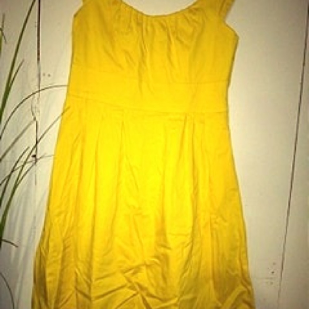 Fit and Flare Midi Dress